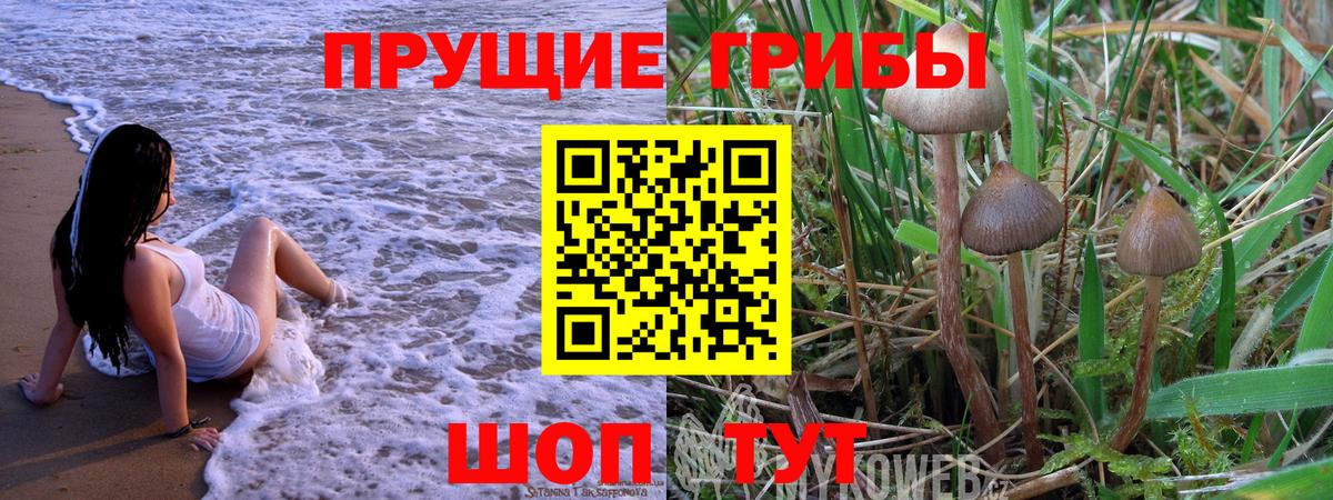 Псилоцибиновые грибы MAGIC MUSHROOMS  Вход с VPN  Галлюциногенные грибы GOLDEN TEACHER  Нарткала 